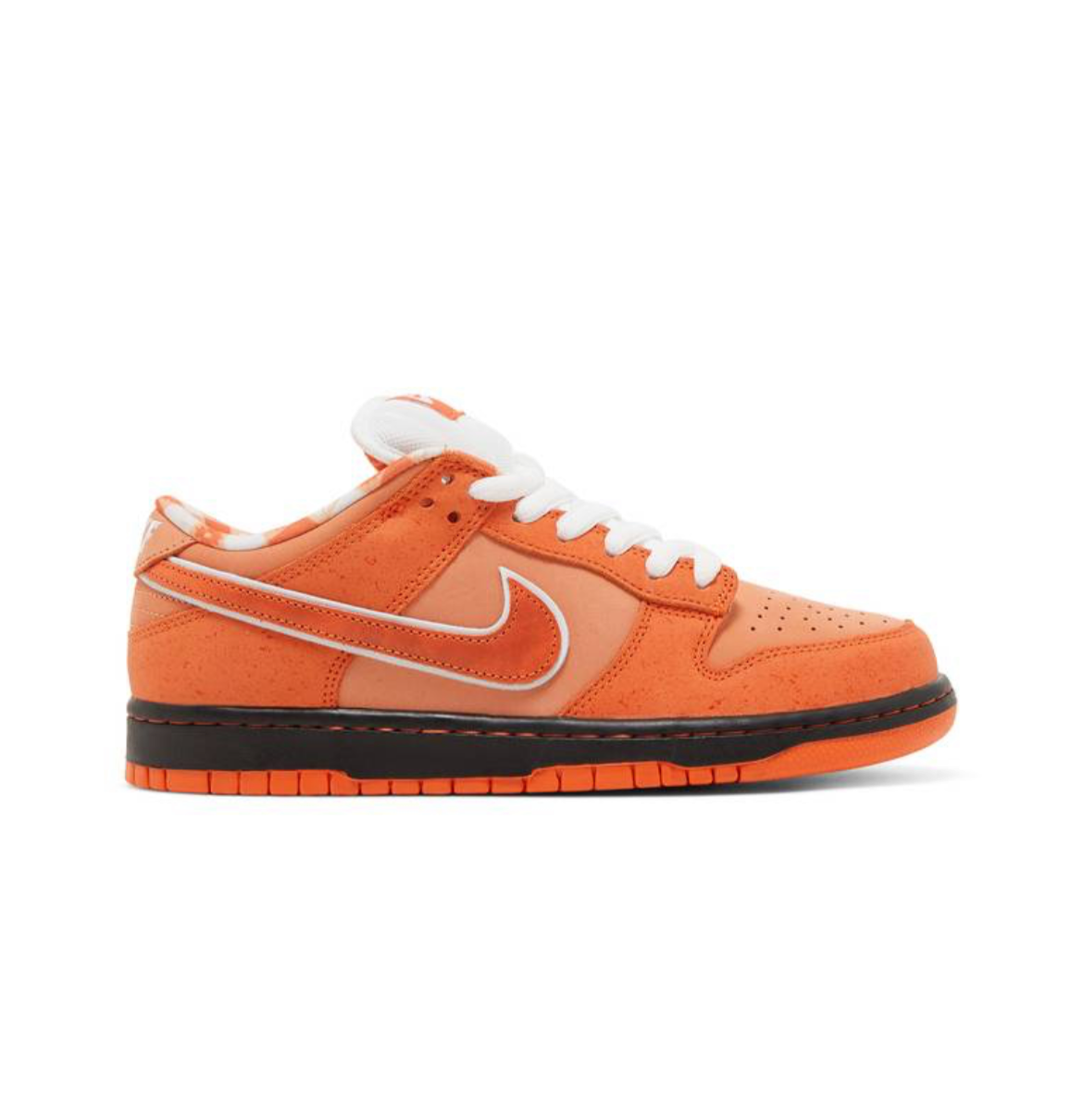 Nike SB Dunk Low “Concepts Orange Lobster” (Special Box)