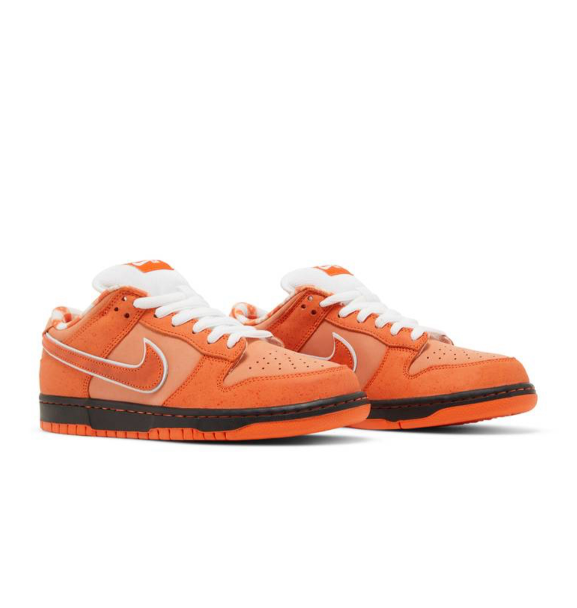 Nike SB Dunk Low “Concepts Orange Lobster” (Special Box)