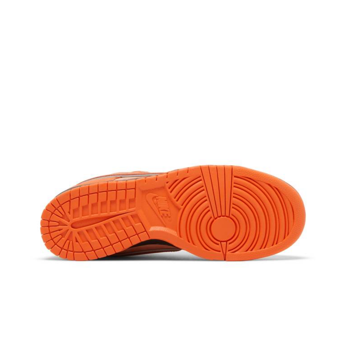 Nike SB Dunk Low “Concepts Orange Lobster” (Special Box)