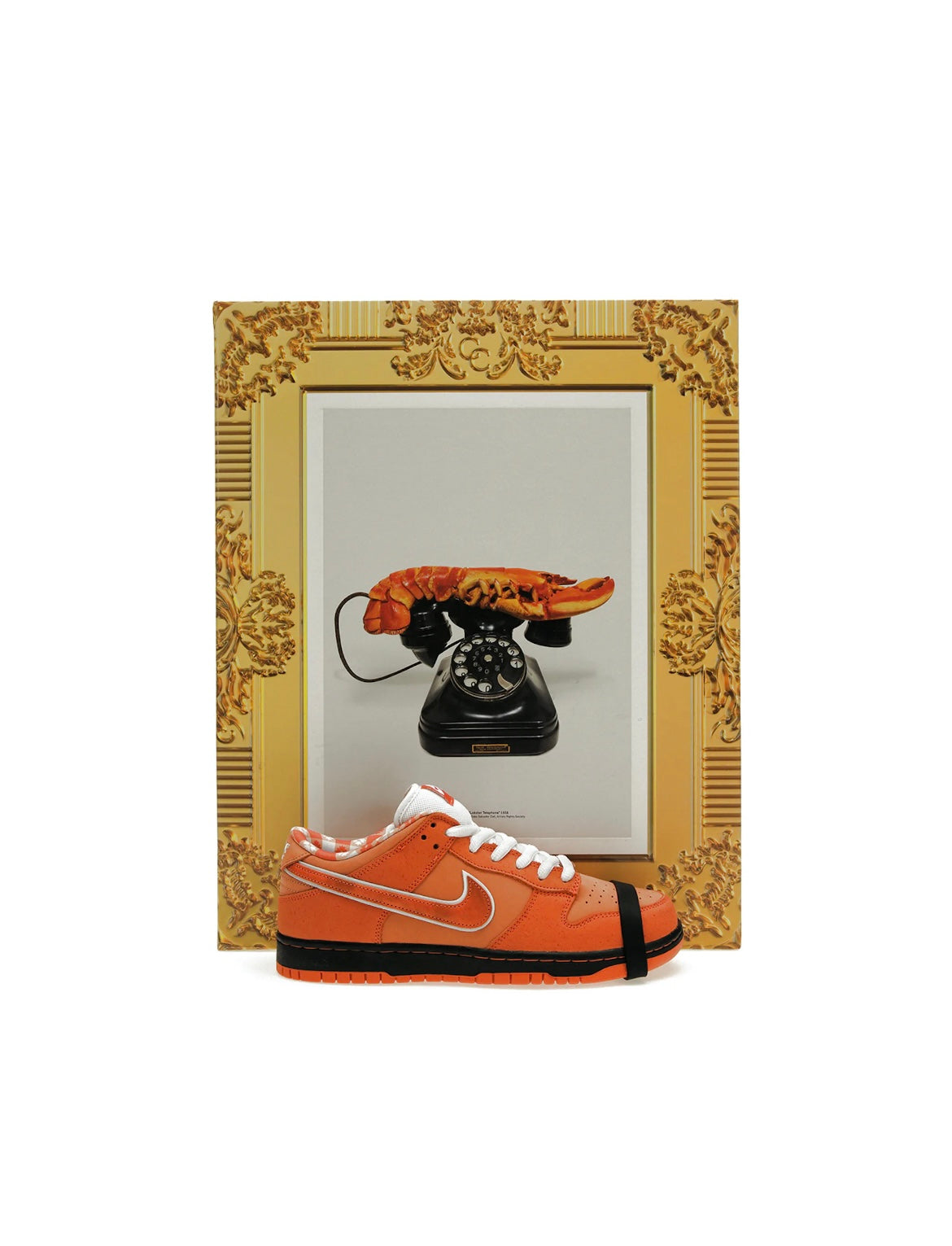 Nike SB Dunk Low “Concepts Orange Lobster” (Special Box)